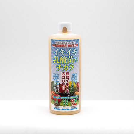 納豆×乳酸菌(犬用)